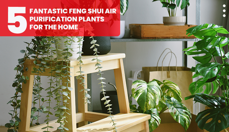 Feng shui for home